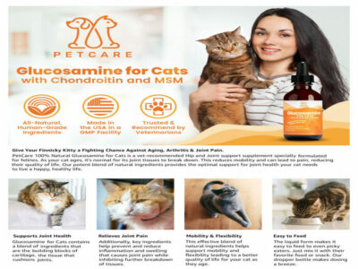 Cat Joint Supplement A+ Content