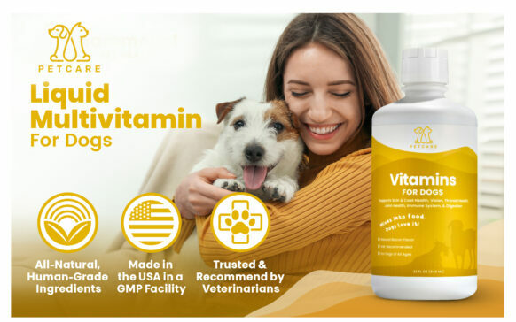 Multivitamin for Dogs A+ Content